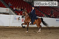 09buck-5394 proof