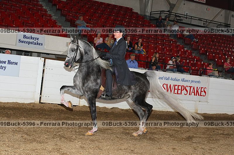 Proof 09buck-5396