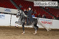 09buck-5396 proof