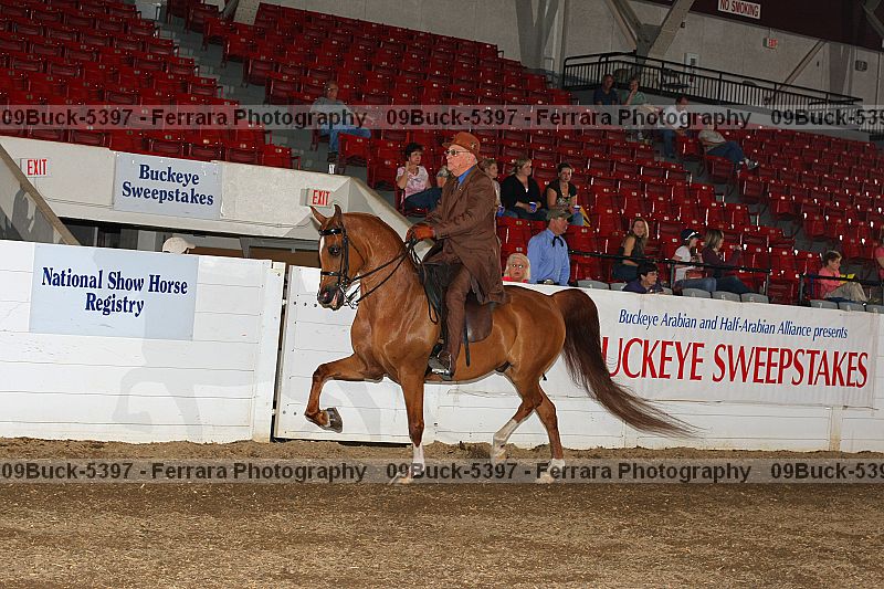 Proof 09buck-5397