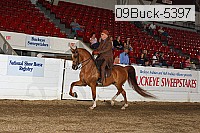 09buck-5397 proof