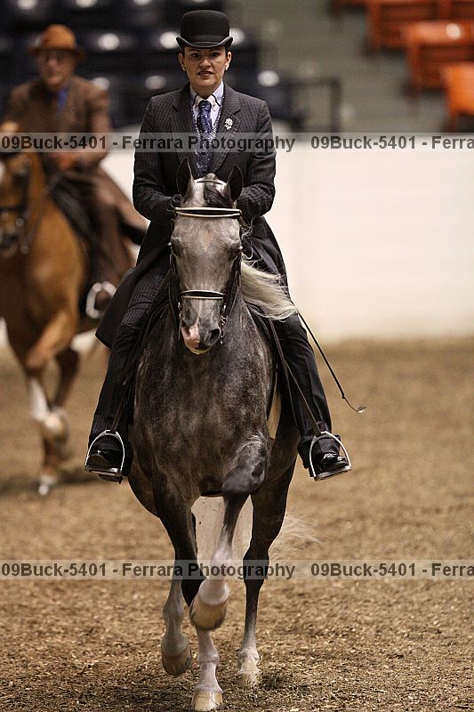 Proof 09buck-5401