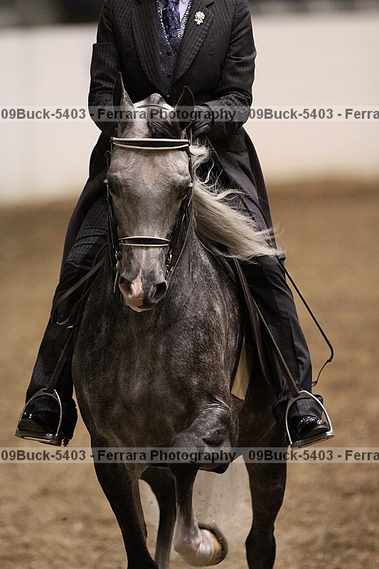 Proof 09buck-5403