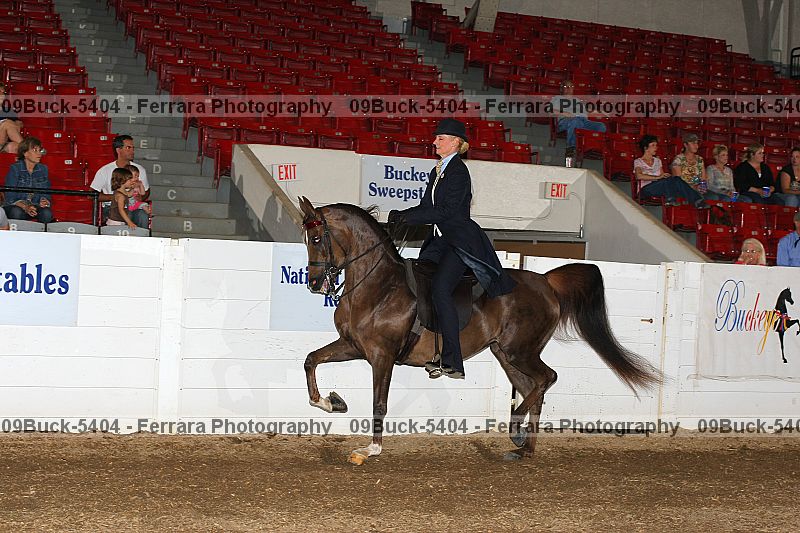 Proof 09buck-5404