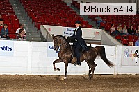 09buck-5404 proof