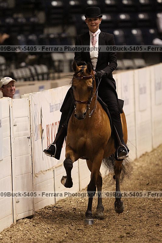 Proof 09buck-5405