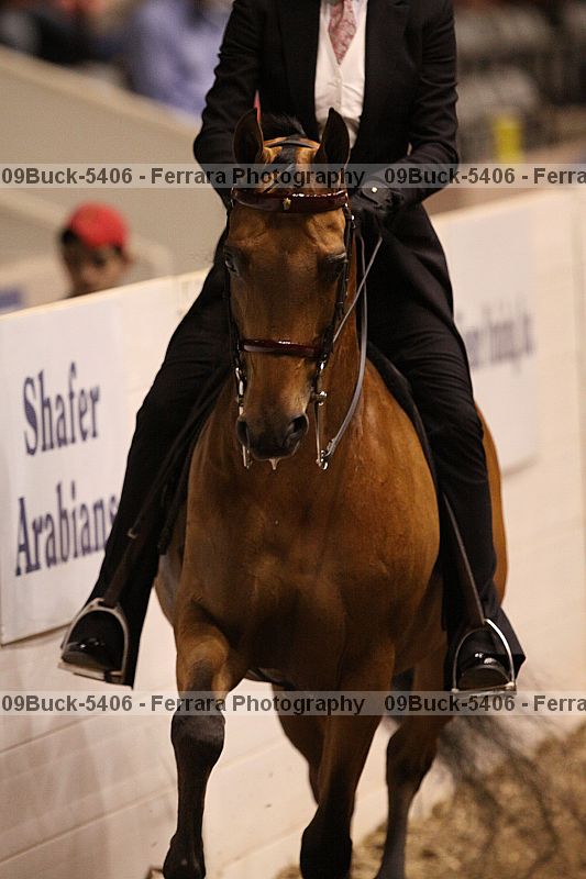 Proof 09buck-5406