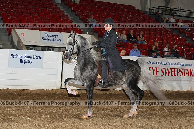 Proof 09buck-5407