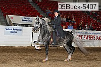 09buck-5407 proof