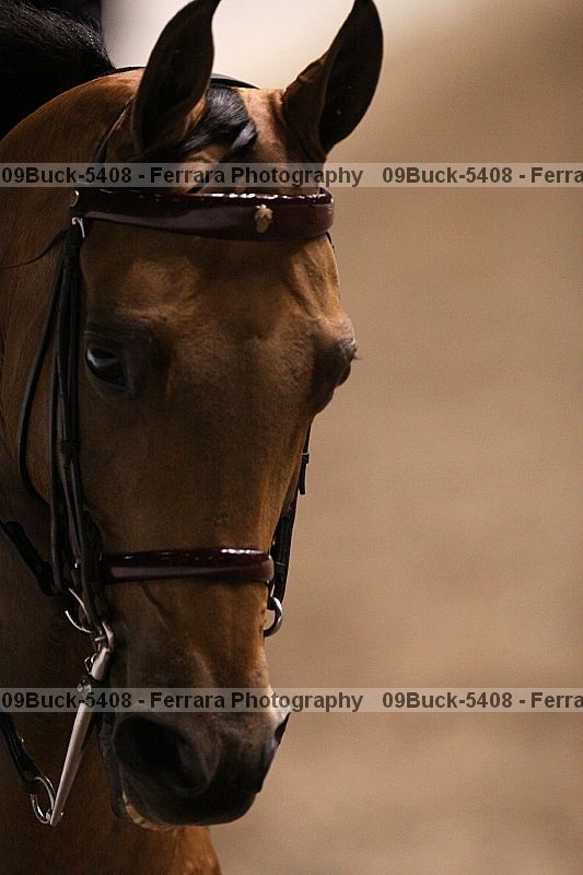 Proof 09buck-5408
