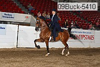 09buck-5410 proof
