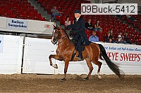 09buck-5412 proof