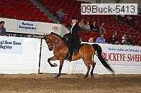 09buck-5413 proof