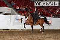 09buck-5414 proof