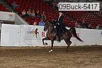 09buck-5417 proof