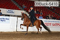 09buck-5418 proof