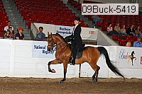 09buck-5419 proof