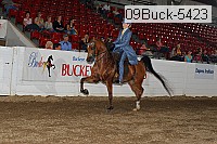 09buck-5423 proof