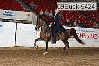 09buck-5424 proof