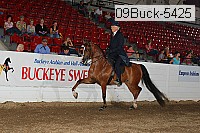09buck-5425 proof