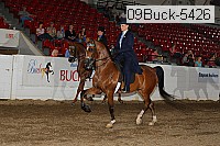 09buck-5426 proof