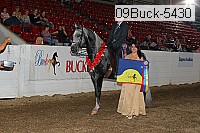 09buck-5430 proof