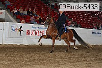 09buck-5433 proof