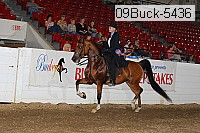 09buck-5436 proof