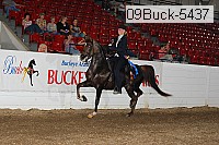 09buck-5437 proof