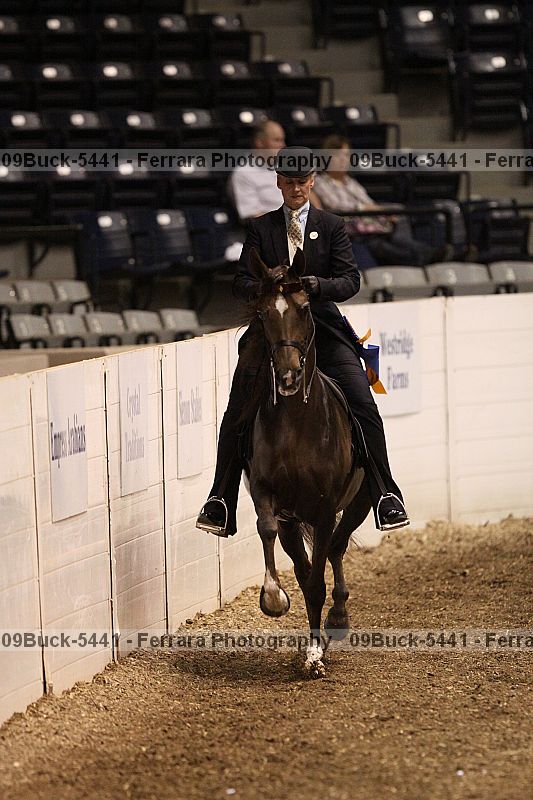 Proof 09buck-5441