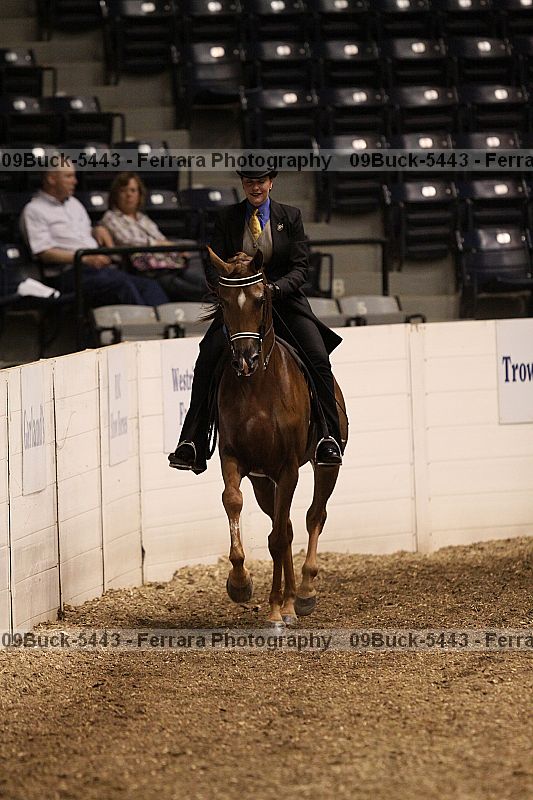 Proof 09buck-5443