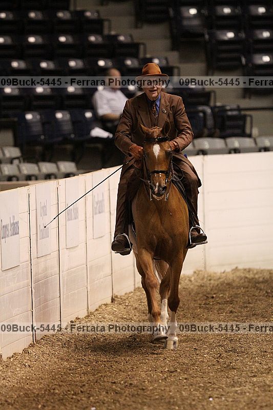 Proof 09buck-5445