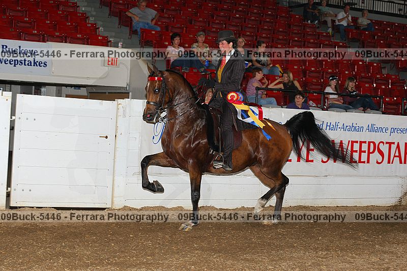 Proof 09buck-5446
