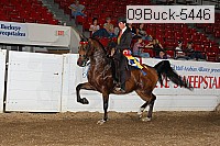 09buck-5446 proof