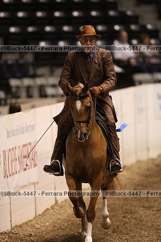 Proof 09buck-5447