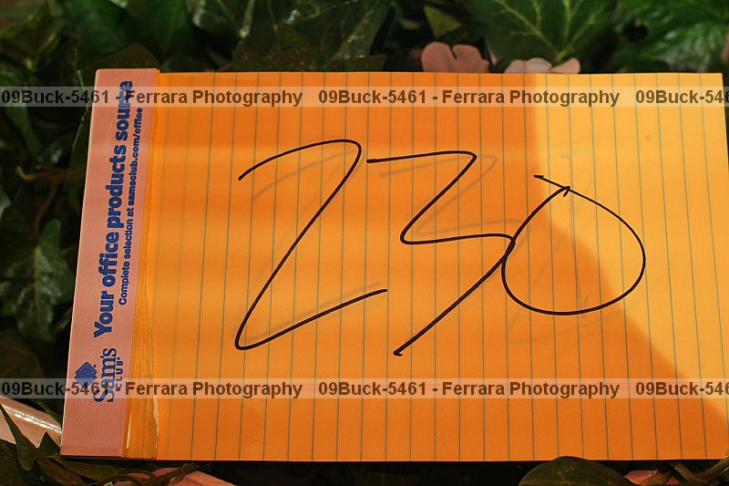 Proof 09buck-5461