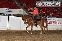09buck-5462 proof