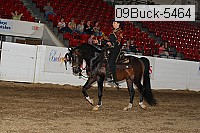 09buck-5464 proof