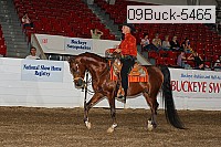 09buck-5465 proof