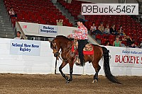 09buck-5467 proof