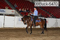 09buck-5470 proof