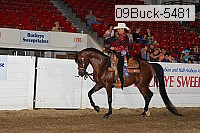 09buck-5481 proof