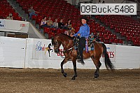 09buck-5486 proof