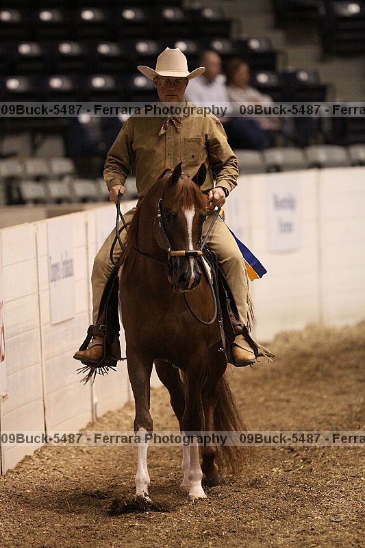 Proof 09buck-5487