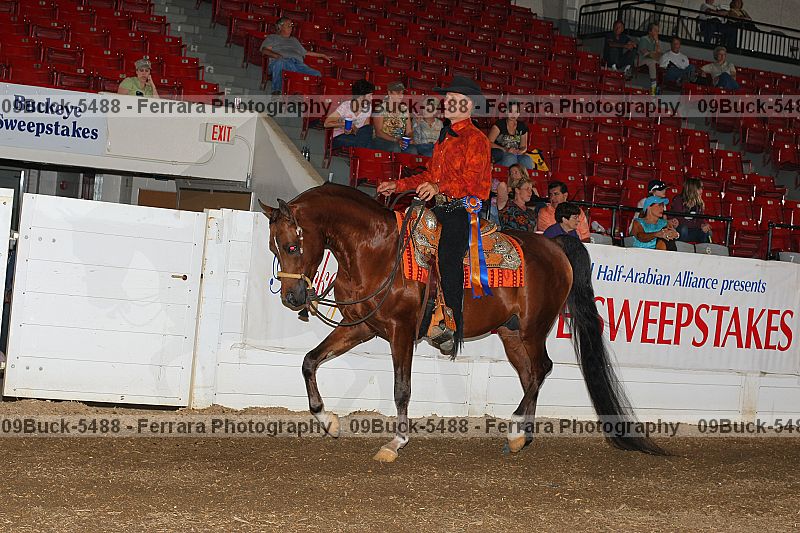 Proof 09buck-5488