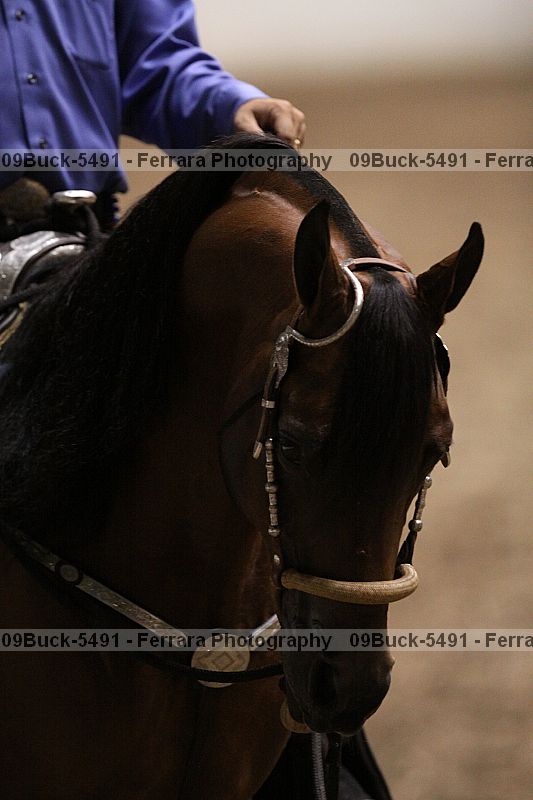 Proof 09buck-5491
