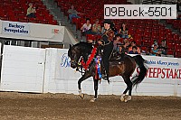 09buck-5501 proof