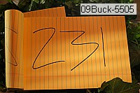 09buck-5505 proof