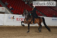 09buck-5506 proof