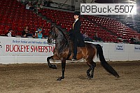 09buck-5507 proof